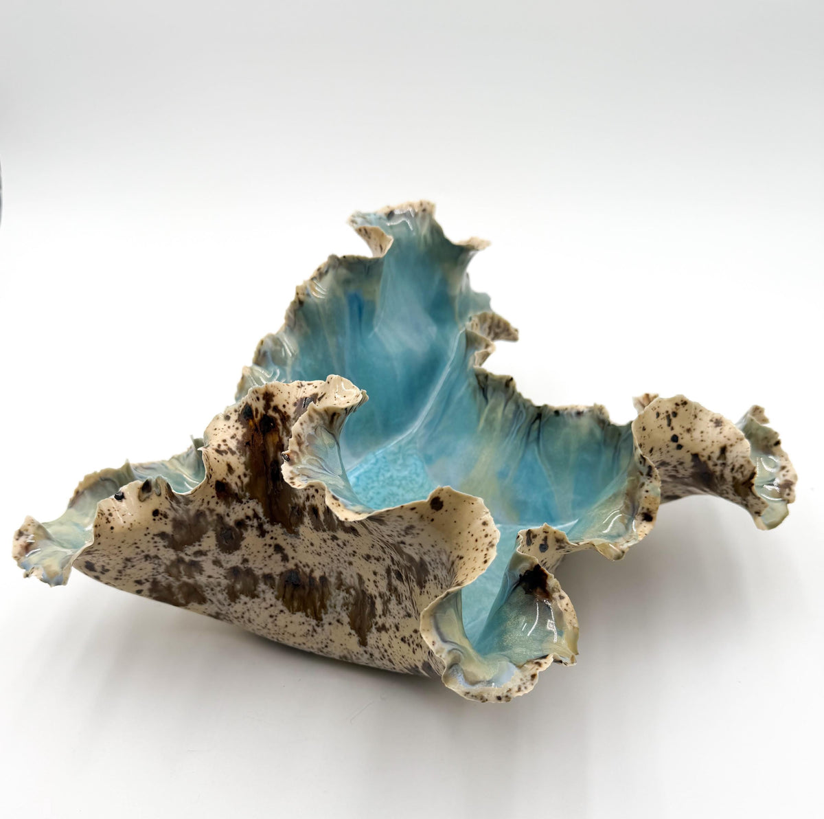 Tideglass Bloom